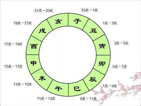 子丑寅卯辰巳午未申酉戌亥 生肖 人面相